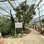 просторни анастасия -балчик с морска гледка