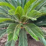 просторни анастасия -балчик с морска гледка Apartamento Balchik